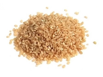Imagem de Arroz Integral Cateto Puro (100 G)