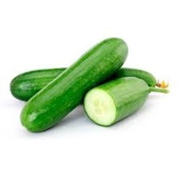 Imagem de Pepino Comum Orgânico (100 G)
