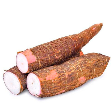 Imagem de Aipim Orgânico Sítio do Arcanjo (100G)