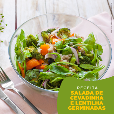 Salada de Cevadinha e Lentilhas Germinadas