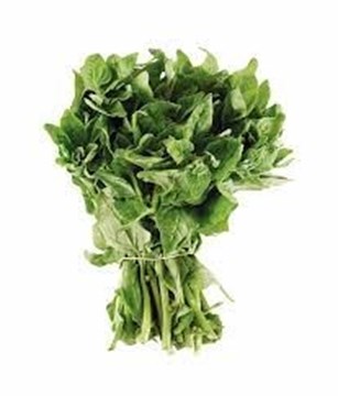 Imagem de Espinafre Orgânico Molho Sítio do Arcanjo Und