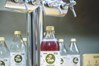 Imagem de Kombucha Basic Tao Kombucha Uva 1l REFIL