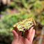 Imagem de Quiche com Alho Poró Mais Leve 100g