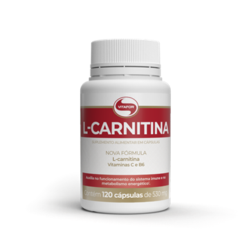 Imagem de L Carnitina Vitafor 120cps