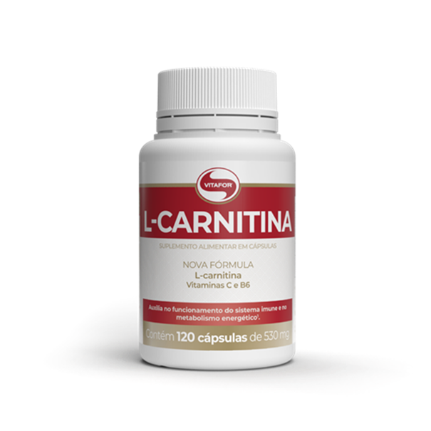 Imagem de L Carnitina Vitafor 120cps