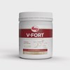 Imagem de Pré-Treino V-Fort Sabor Limão Vitafor 240g