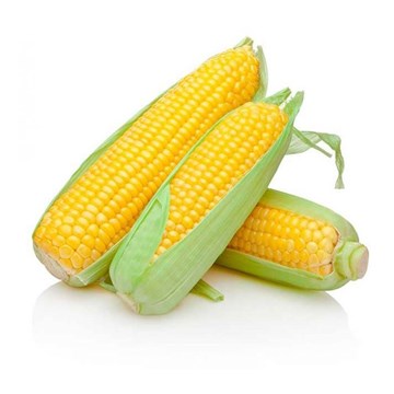 Imagem de Milho Verde Organico Fazenda Sao Francisco Unidade