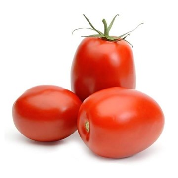 Imagem de Tomate Salada Organico Fazenda Sao Francisco (100g)