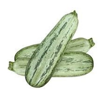 Imagem de Abobrinha Organica Fazenda Sao Francisco (100g)