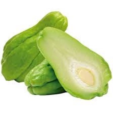 Imagem de Chuchu Organico Fazenda Sao Francisco (100g)