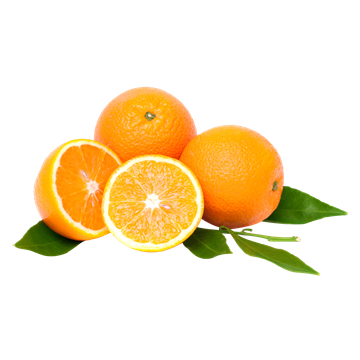 Imagem de Laranja Orgânica Fazenda São Francisco 100g