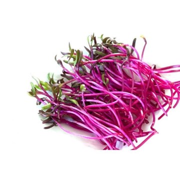 Imagem de Broto de Beterraba in natura 50G