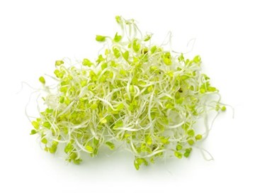 Imagem de Broto de Brócolis In Natura 50g