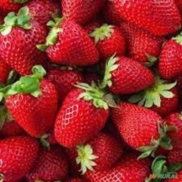 Imagem de Morango premium inatura 250g -Sitio da Galera