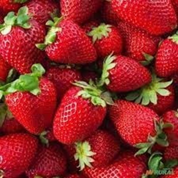 Imagem de Morango premium inatura 250g -Sitio da Galera