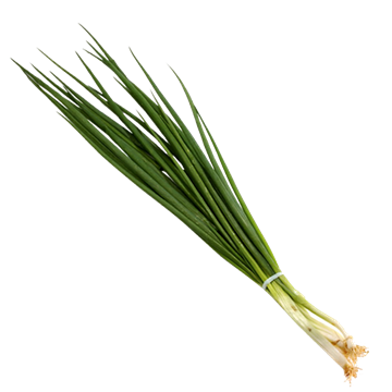 Imagem de Cebolinha Orgânico Sítio do Arcanjo Und