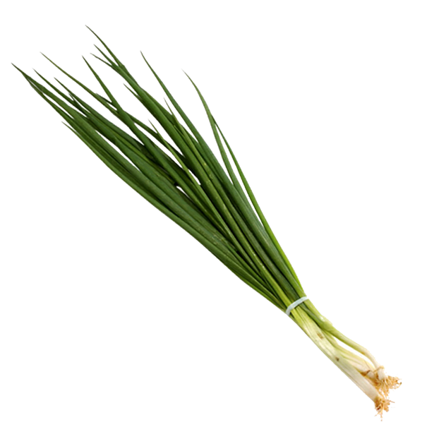 Imagem de Cebolinha Orgânico Sítio do Arcanjo Und