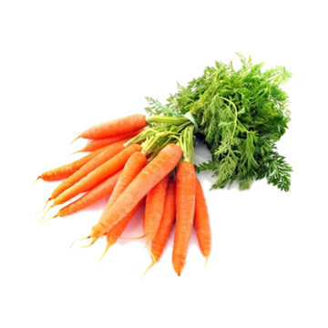 Imagem de Cenoura Orgânica Molho Sítio do Arcanjo (100 G)